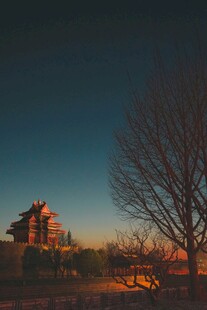 黄昏下的孤树与古建筑