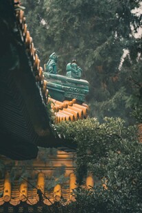 古建屋檐下的绿意景致