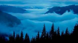 山间云海与松林美景