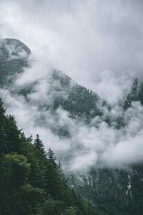 云雾缭绕的山林美景