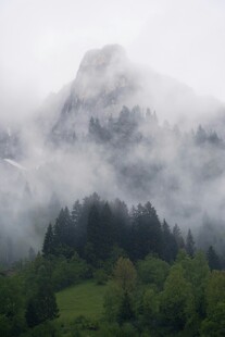 云雾缭绕的山林美景