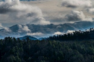 山林云海间的壮美景色