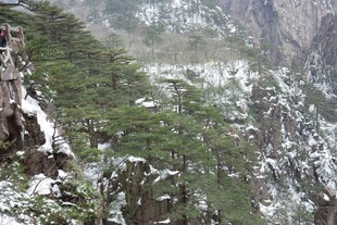 雪覆山林的壮美山景