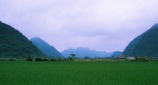 山间绿野风光