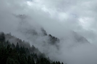 云雾缭绕的山林美景