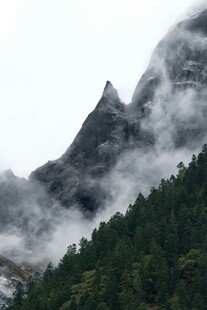 云雾缭绕的峻岭与葱郁山林