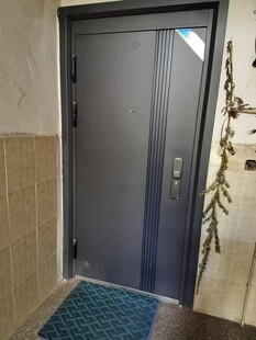 现代简约风格入户门展示