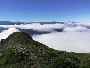 山巅云海美景