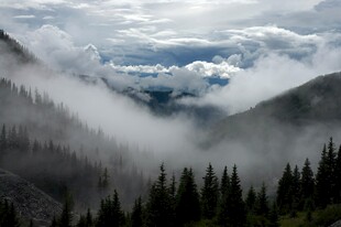 山间云雾缭绕的森林美景