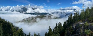 山间云海与葱郁林木美景