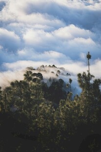 山顶瞭望者