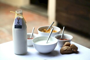 早餐桌上的牛奶与点心