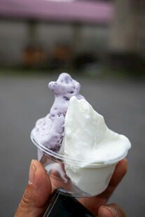 手持双色冰淇淋