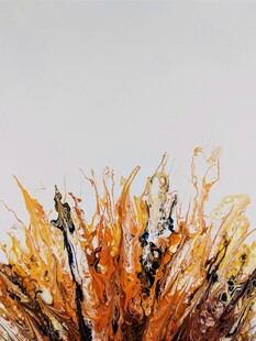 绚丽多彩的植物顶端特写