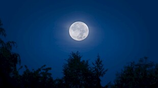 夜空下的皎洁明月