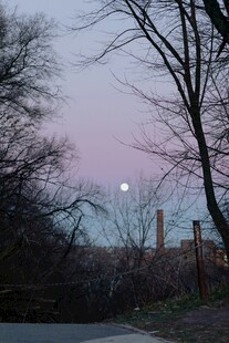 黄昏树林间的朦胧月色