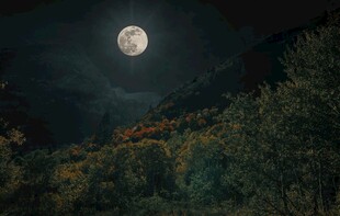月夜山林美景