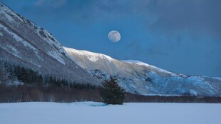 雪山月夜美景