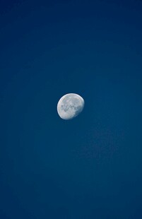 夜空中的孤月