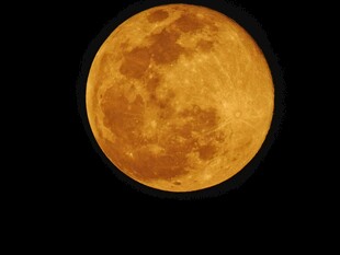 金黄满月悬于夜空