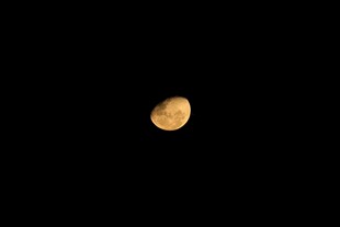 夜空中的明亮月亮