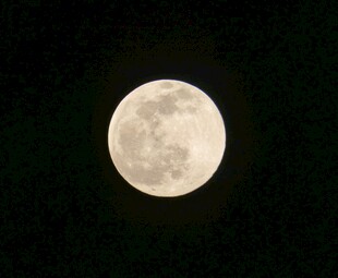 夜空中的皎洁明月