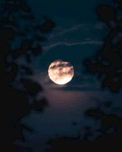 夜空中的皎洁明月