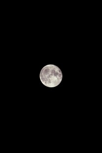 夜空中的皎洁明月