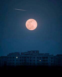 夜空中的满月与建筑