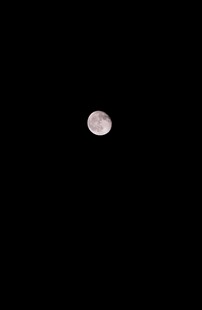 夜空中的明亮圆月