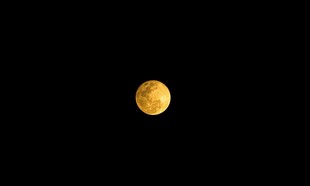 夜空中的金黄圆月