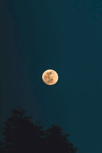 夜空下的满月
