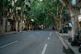 静谧的城市一角