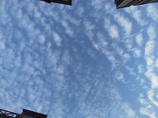 晴朗天空下的建筑一角