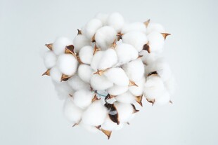 蓬松洁白的棉花团