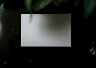 白纸