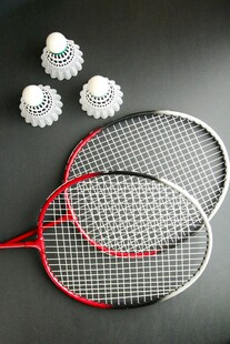 羽毛球拍与羽毛球组合