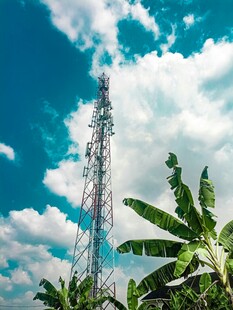 户外通信铁塔与绿植景观