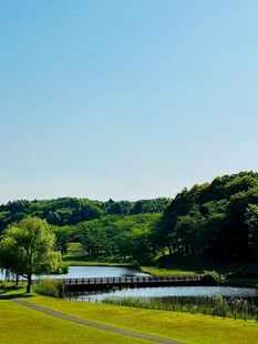 湖畔绿野风光