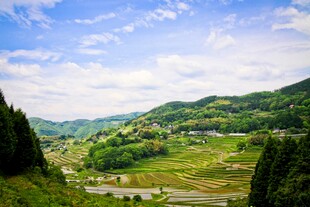 山间绿野风光