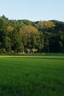 绿野葱林的美丽田园风光