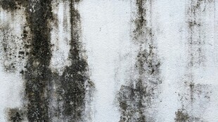 斑驳背景