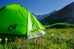 绿色帐篷置身山间花草间