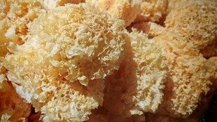 金黄银耳干货特写