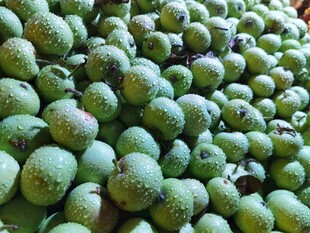大量青苹果堆成小山