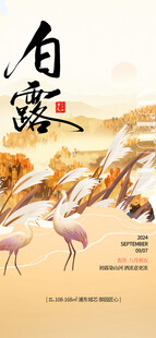 白露时节的优雅丹顶鹤