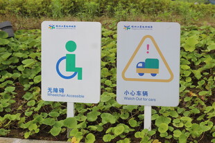儿童友好公残疾人专用车位指示牌