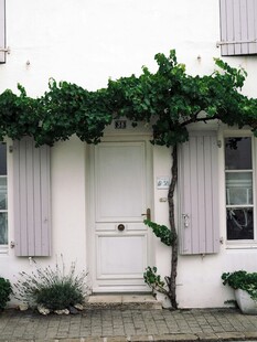 白色小屋的绿植装饰门