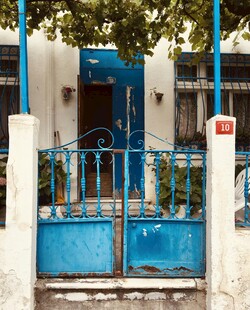蓝门小院的清新景致