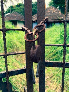 铁门锁住的户外景色
